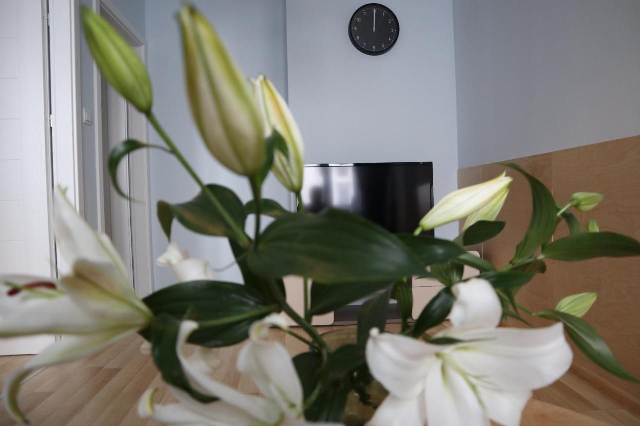 One More Night Apartment, Poznan Old Town Екстер'єр фото